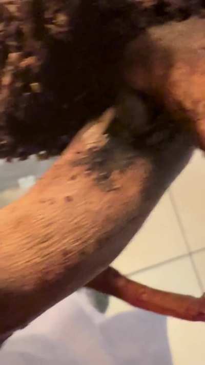 What is this in my frog cage?