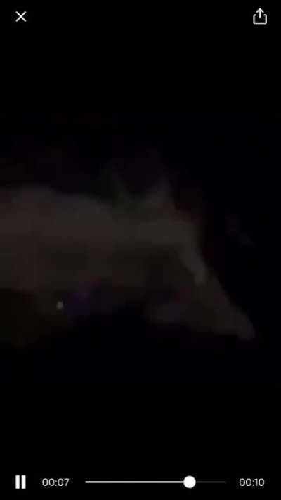 cursed_motherfucking truck