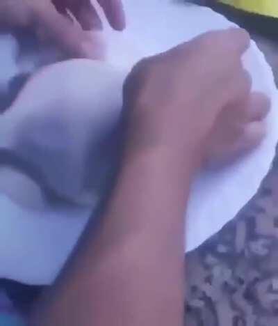 Procede a tirarle un queso al perro