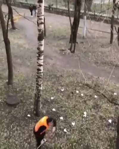 The butterfly effect