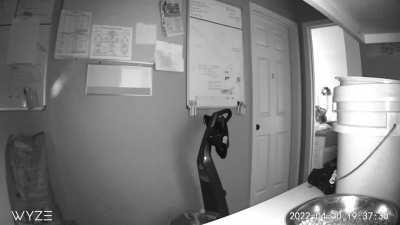 Three things happened yesterday. I received scratches on my leg that I don't know how I got. At 7:42 this happens and at 8:11 there was 2 knocks on the door to our bedroom. More in the comments.