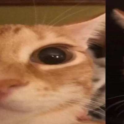 This is my pilot, bro I'm gonna die.