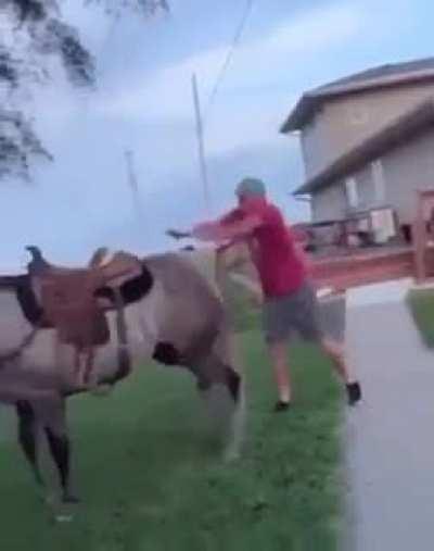Jumping onto a horse… maybe not the smartest decision