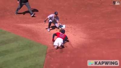 Yankees Vs. A Thieving Guardian Scorpion