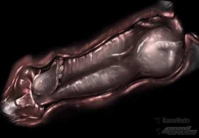 No doubt it would feel amazing being knotted