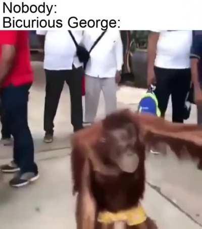 Bicurious George