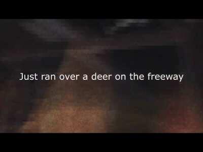 Just ran over a deer on the freeway