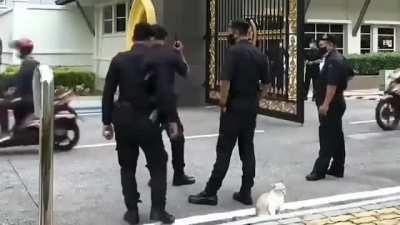 When you’re on duty and you also Love cats…