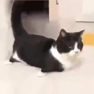 I have this video saved on my phone and had no clue what to do with it