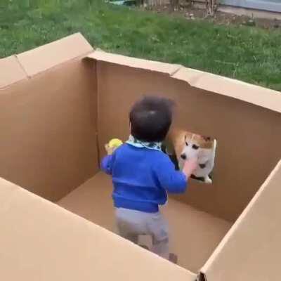 Family game time . Better with sound on