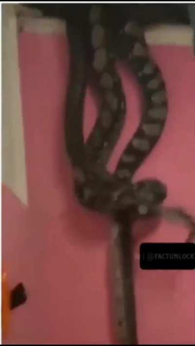 New fear unlock 😣🥴