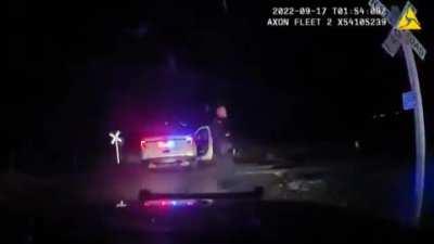 Police cruiser parked on a rail track with Detained Suspect in it. The train takes out the car. The suspect luckily survives their stupidity.