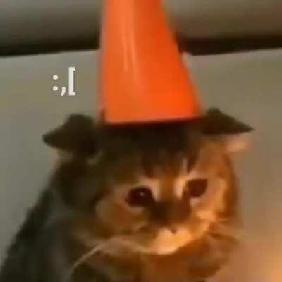 Siento que ya no disfruto de la vida como la disfrutaba antes esto de ir creciendo es mierda.