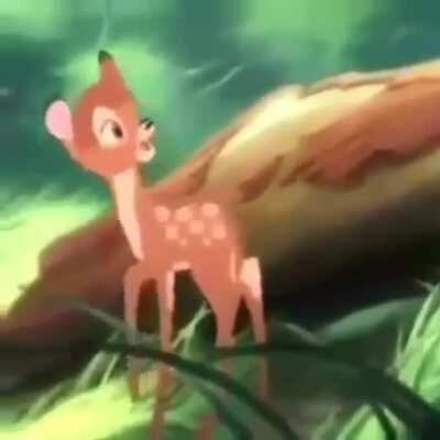 NOOOO BAMBI