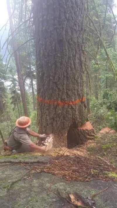 That's pretty damn abrupt