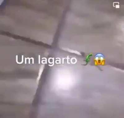 Meu deus um lagartinho 😥