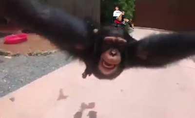 Just another GME hype video. (Shooting Stars Edition)