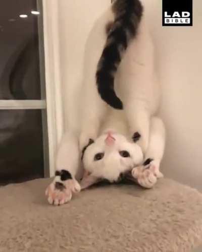 I'm a little unclear on the message here.