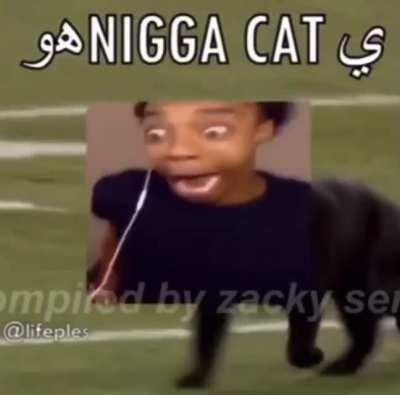 fuck you i dont want a title