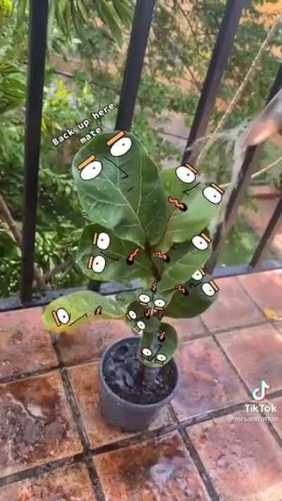 Thanks, i hate watering plants