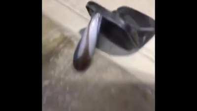 Dumbest experiment I’ve ever done. Random pile of black powder in a vase vs me