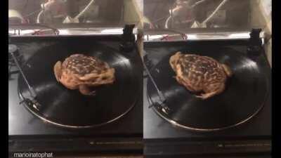 top batalhas dos animes