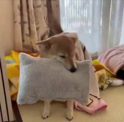 Europe is going to bed now please be nice !!