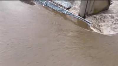 Posting Guidelines - Read Before Submitting