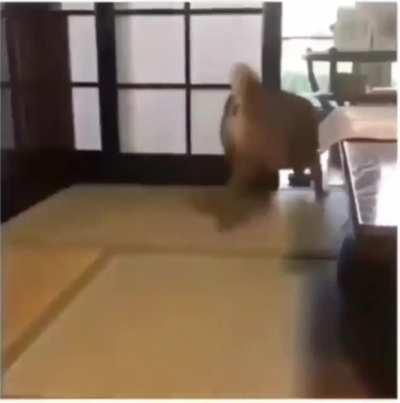 Damn it, look at my empty bowl.