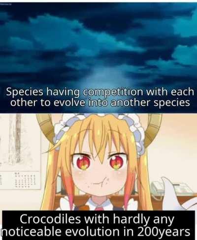 No design change in crocs