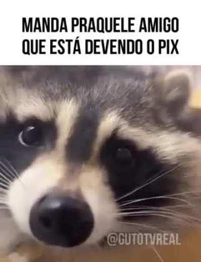 MEMES ALEATÓRIOS - EM ESPECIAL PARA O MADARA QUE ME TIROU O GUAXINIM DA LELE