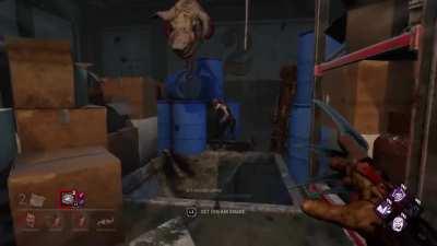 Channeled in my inner Fungoose, yelled 