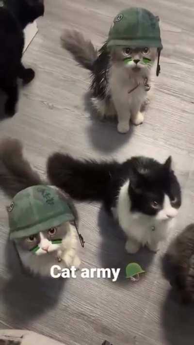 The army that Pakistan should have had