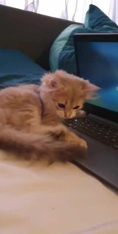 The reason I can't watch tv shows anymore