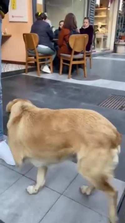 Sir, could you do that again , Please ?