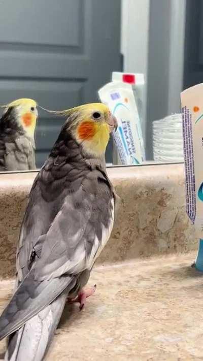 Here’s some cookie song from Groot!