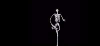 S🅱️ANISB S🅱️ELETOM