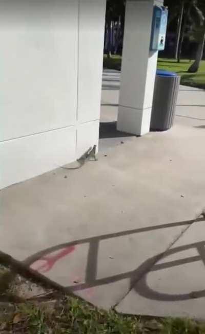 I don’t like public bathrooms in Florida