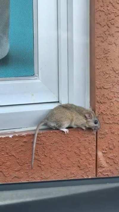 We were all confused