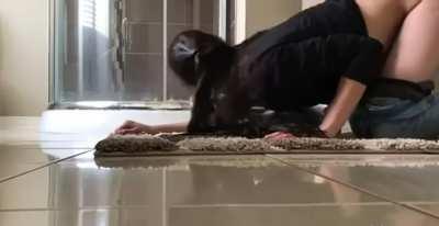 Desi Doggystyle Indian Porn GIF by xr0007