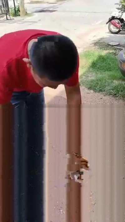 Dando banho no mestre 🐭 