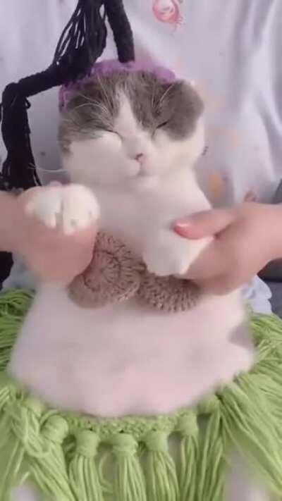 Танец живота