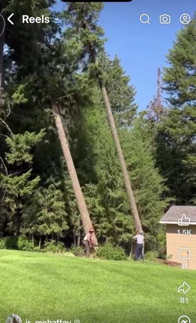 Back leaner next to a house