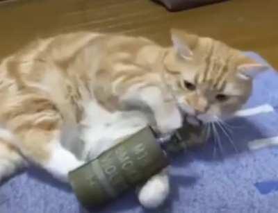 Myu. Moew? (___________________|~~~~~X.;' .