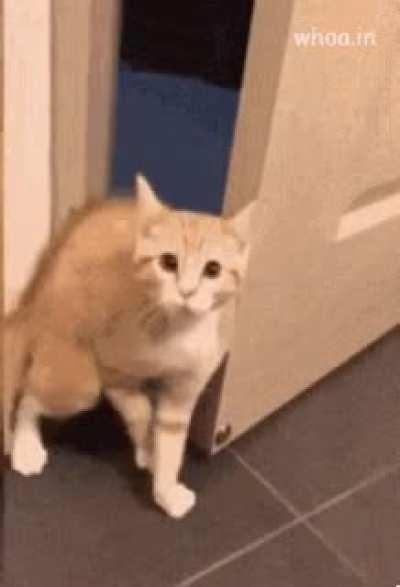 Oh you startled me. Didn't realize anyone was in here