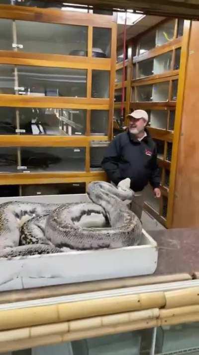 Should have worn his brown pants