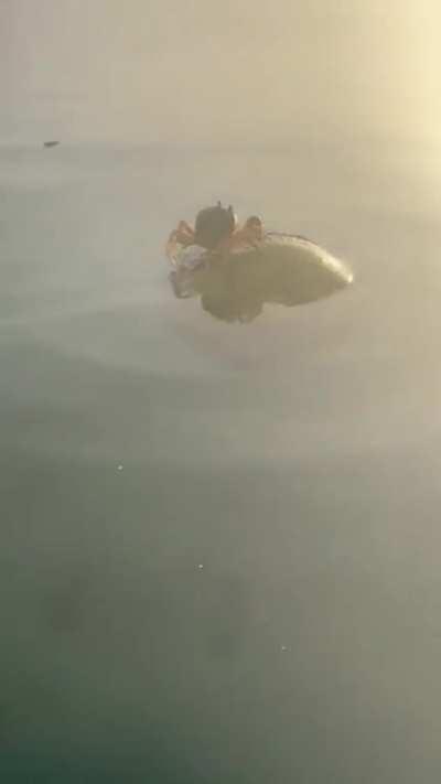 They see me floating, they hating