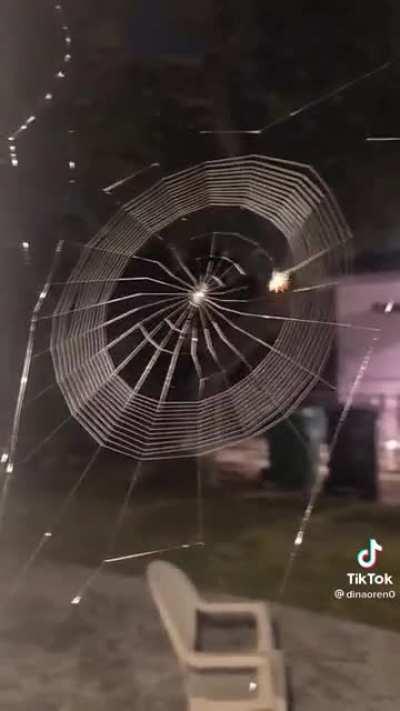 Not my video: Spider building it’s web