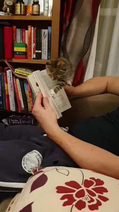 Quiet nights reading are over.