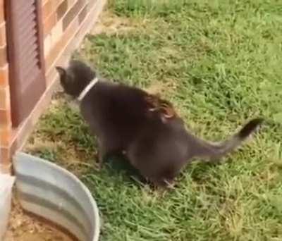 Where is it? WHERE IS IT???